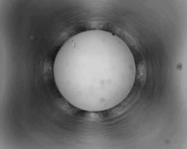 X0000102520522200808221844