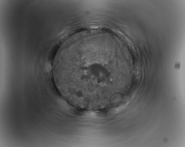 X0000102520523200808221844