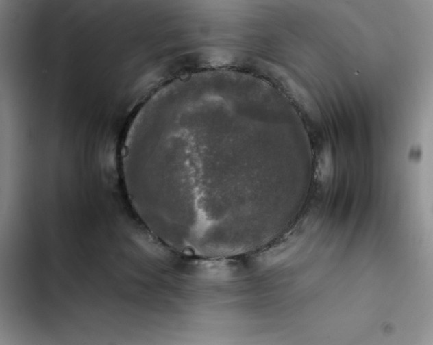 X0000102520524200808221844