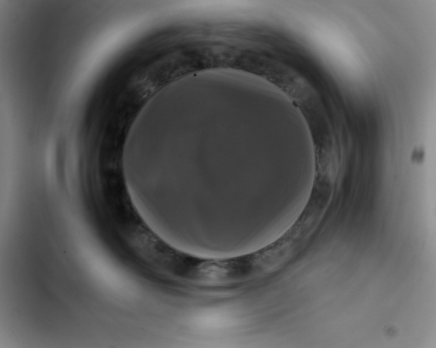 X0000102520526200808221844