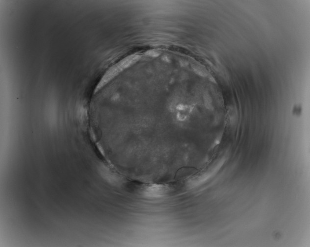 X0000102520527200808221844