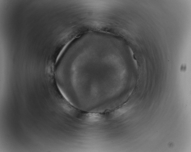 X0000102520528200808221844