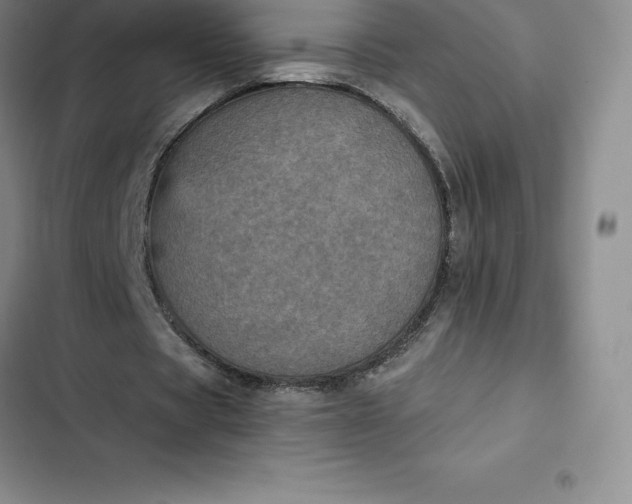 X0000102520529200808221843