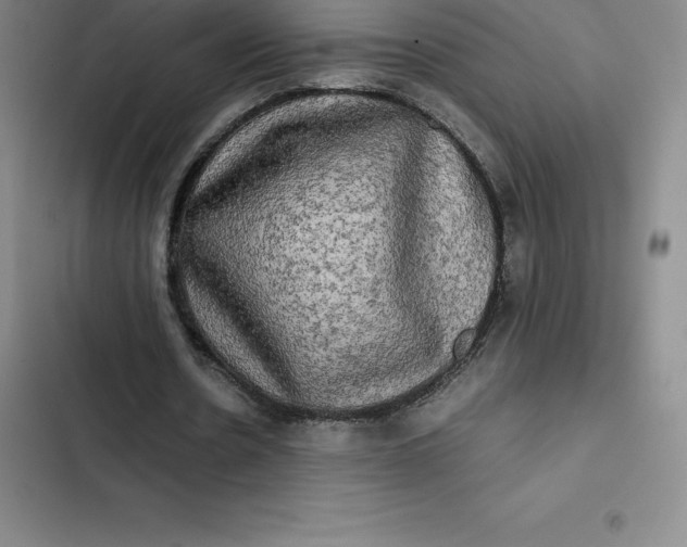 X0000102520530200808221843