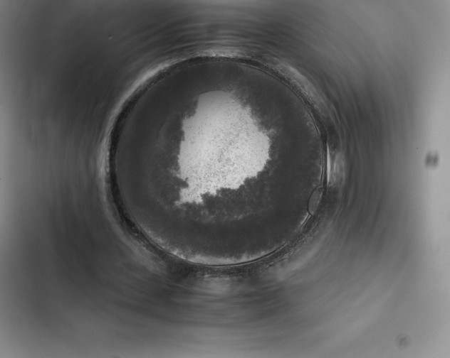 X0000102520531200808221843