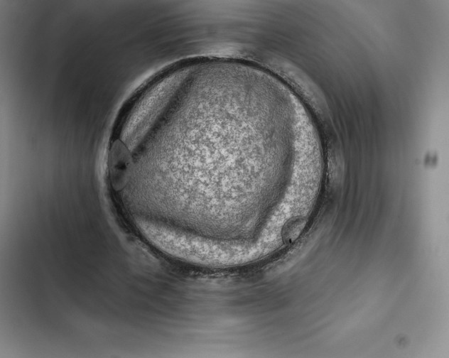 X0000102520532200808221843