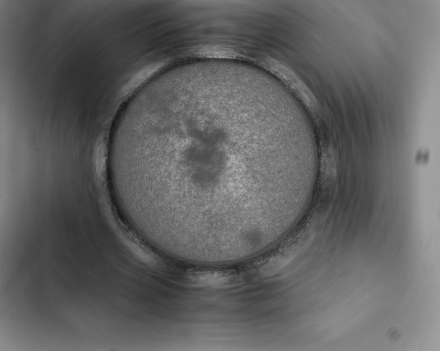 X0000102520533200808221843