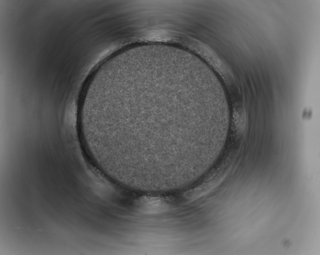 X0000102520534200808221844