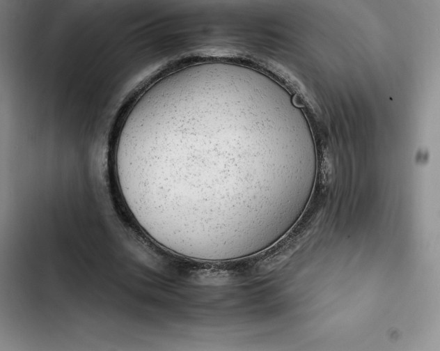 X0000102520535200808221844