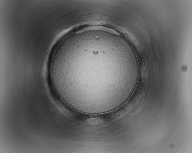 X0000102520536200808221844