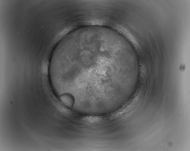 X0000102520537200808221844