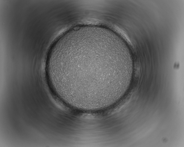 X0000102520538200808221844