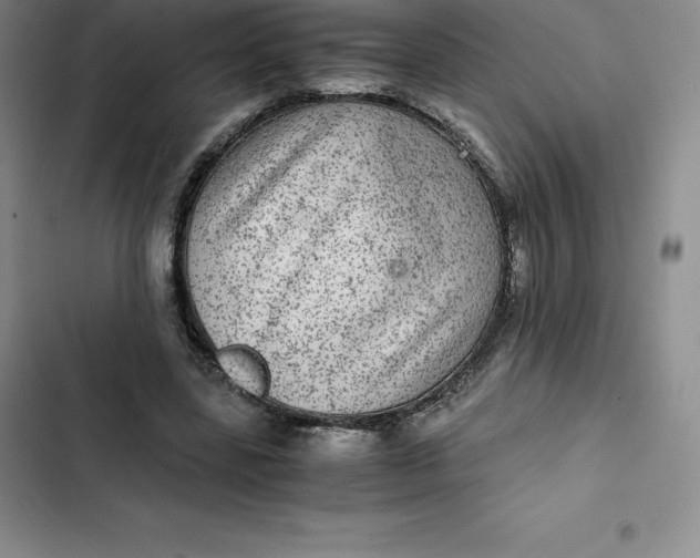 X0000102520539200808221844