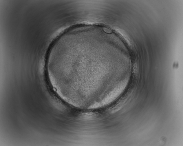 X0000102520540200808221844