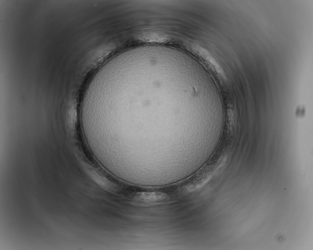 X0000102520541200808221844