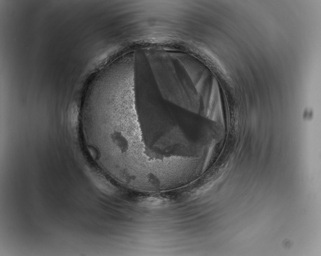 X0000102520542200808221844