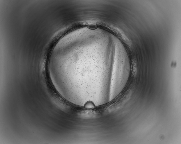 X0000102520543200808221844