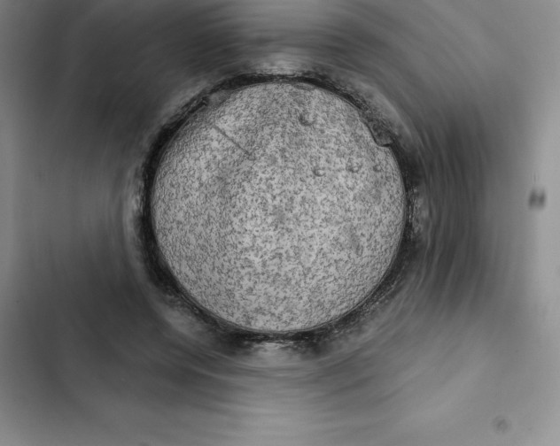 X0000102520544200808221844