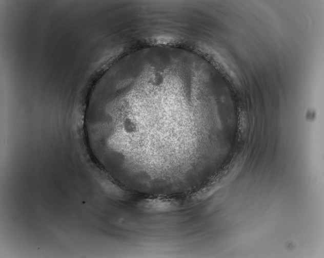 X0000102520545200808221844