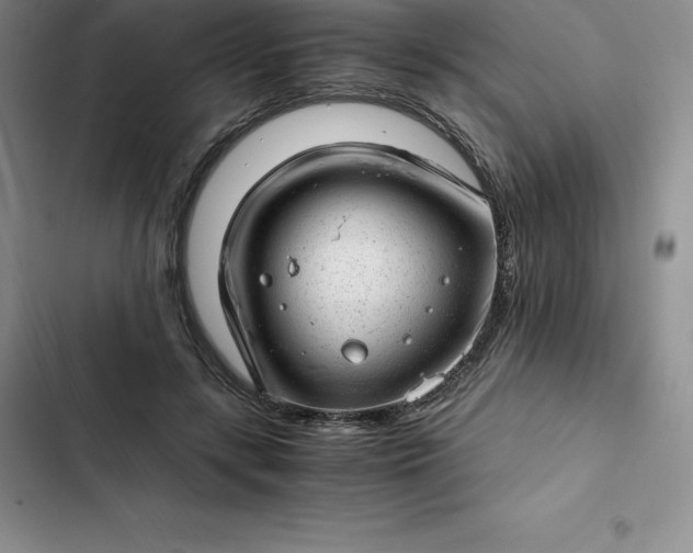 X0000102520547200808221844