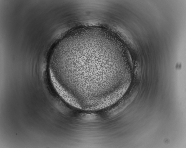 X0000102520548200808221844