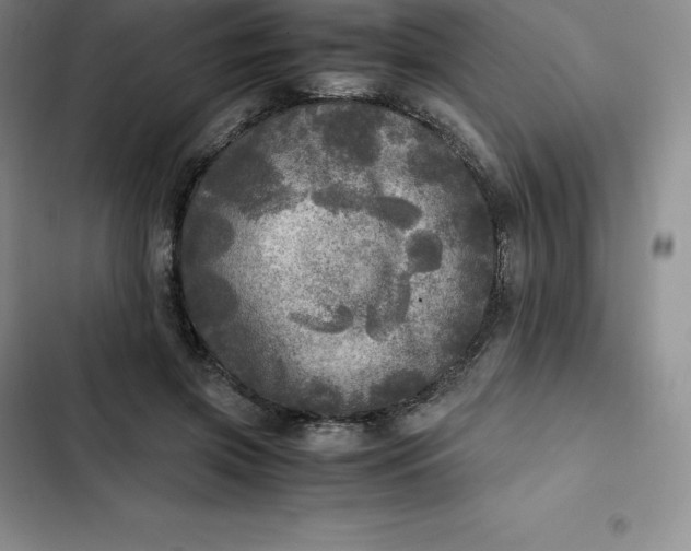 X0000102520549200808221844