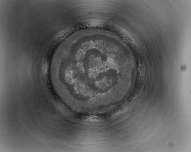 X0000102520550200808221844