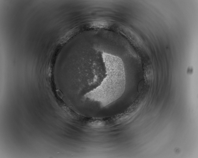 X0000102520551200808221844