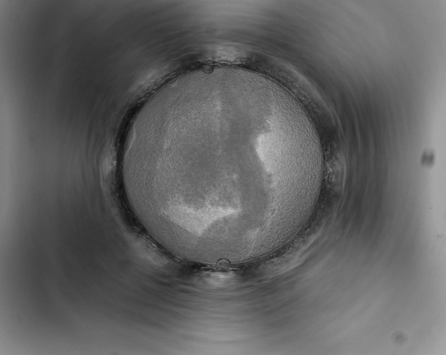 X0000102520552200808221844