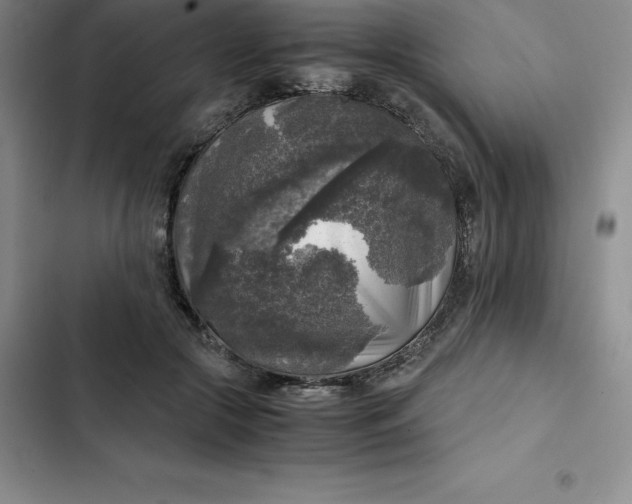 X0000102520553200808221844