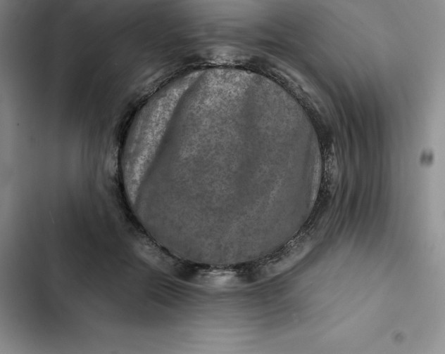 X0000102520554200808221844