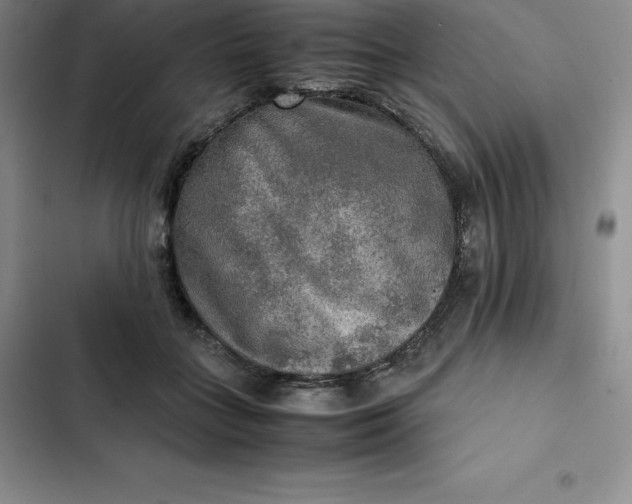 X0000102520555200808221844