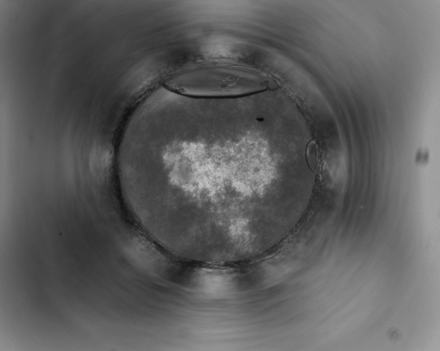 X0000102520556200808221844