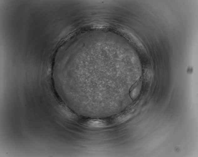 X0000102520557200808221844