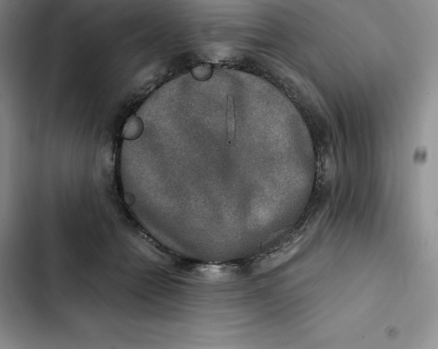 X0000102520558200808221844