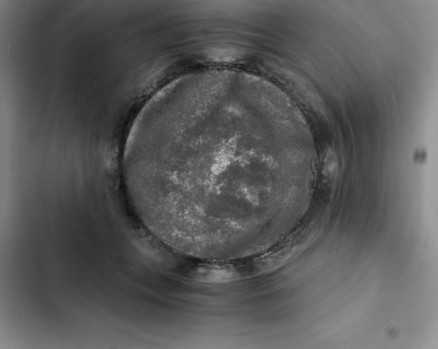 X0000102520559200808221844