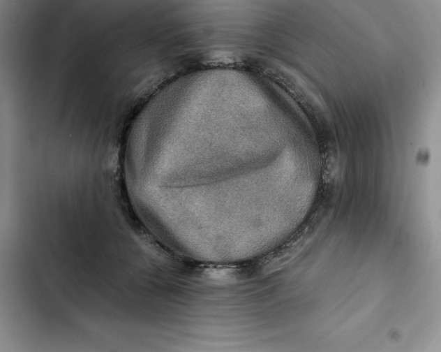 X0000102520560200808221844