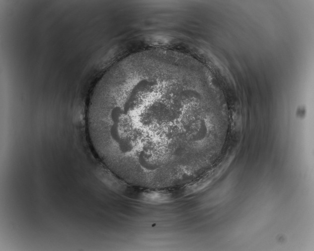 X0000102520561200808221844