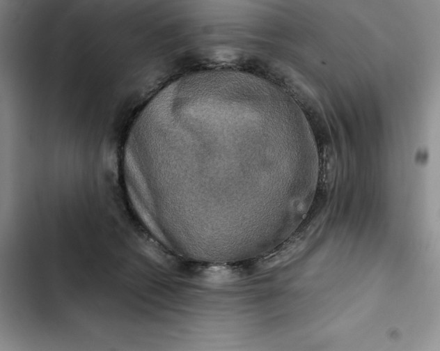 X0000102520562200808221844