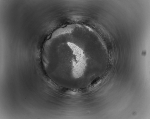 X0000102520563200808221844