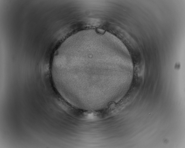 X0000102520564200808221844