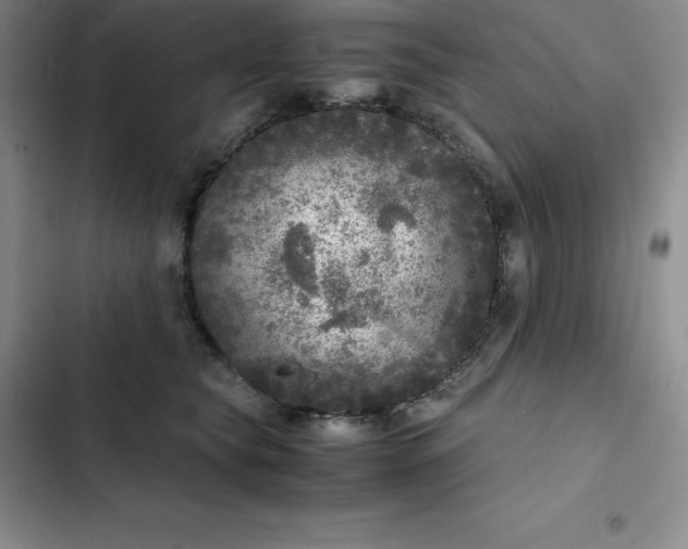 X0000102520565200808221844