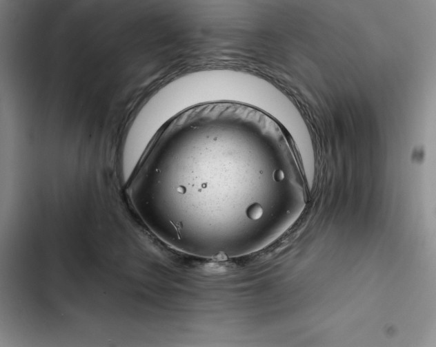 X0000102520566200808221844