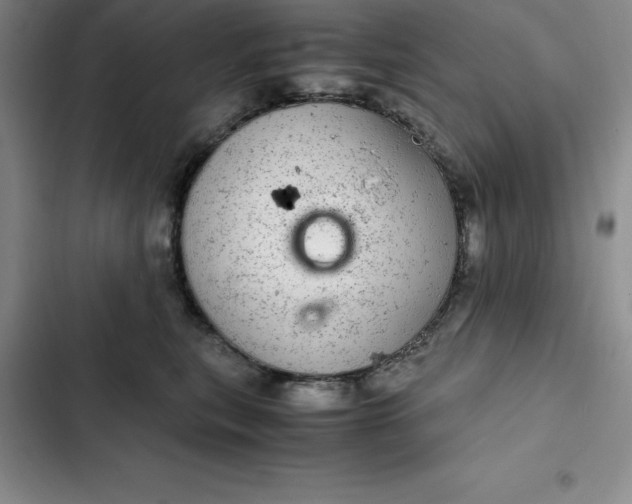 X0000102520567200808221844