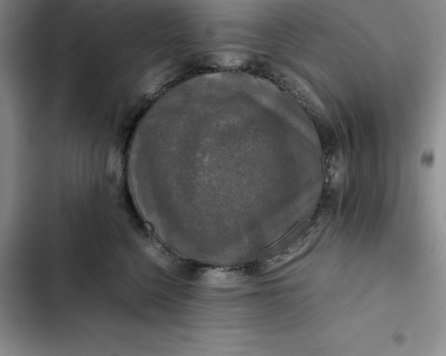 X0000102520568200808221844