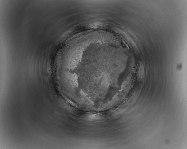 X0000102520569200808221844