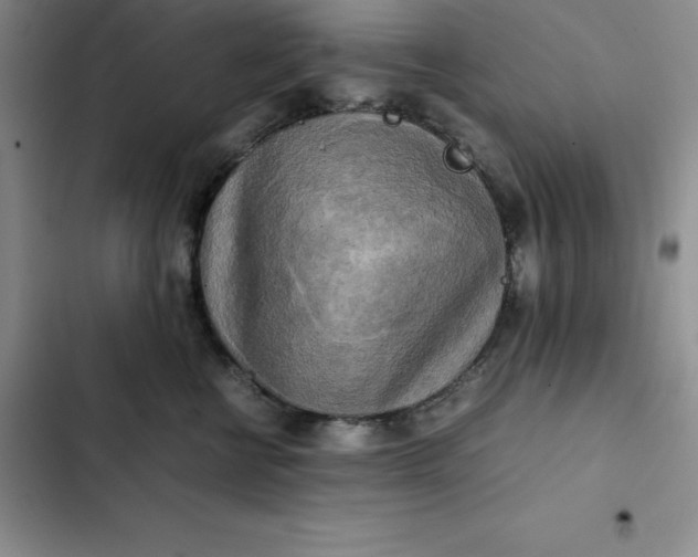 X0000102520570200808221844