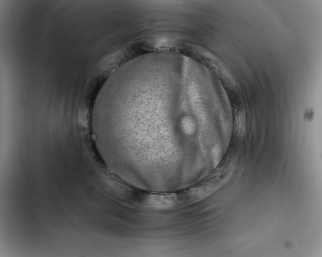 X0000102520571200808221844