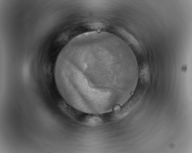 X0000102520572200808221844