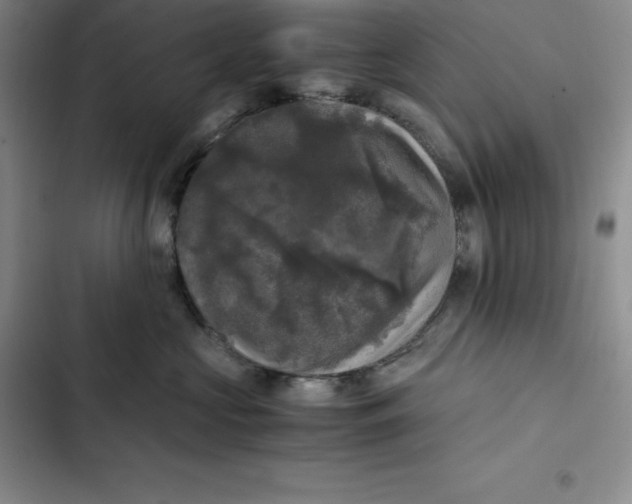 X0000102520573200808221844